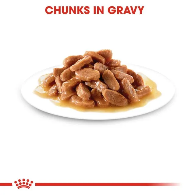Royal Canin Kitten Gravy