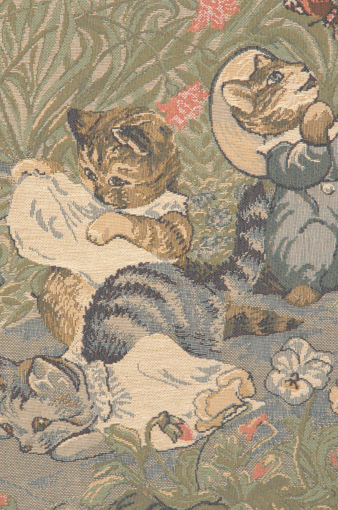 Tom Kitten Beatrix Potter  European Cushion Cover